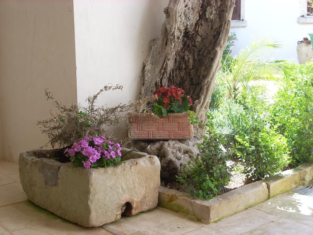 B&B Le Due Corti Martignano Exteriér fotografie